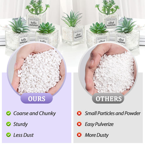 Riare seedling propagation perlite supports young root growth