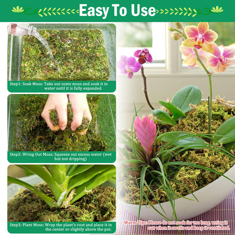 Riare 55-quarts expanded moss ready for orchid repotting and beds.