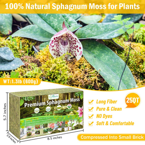 Expanded Riare moss reaches up to 25 quarts for flexible planting layers