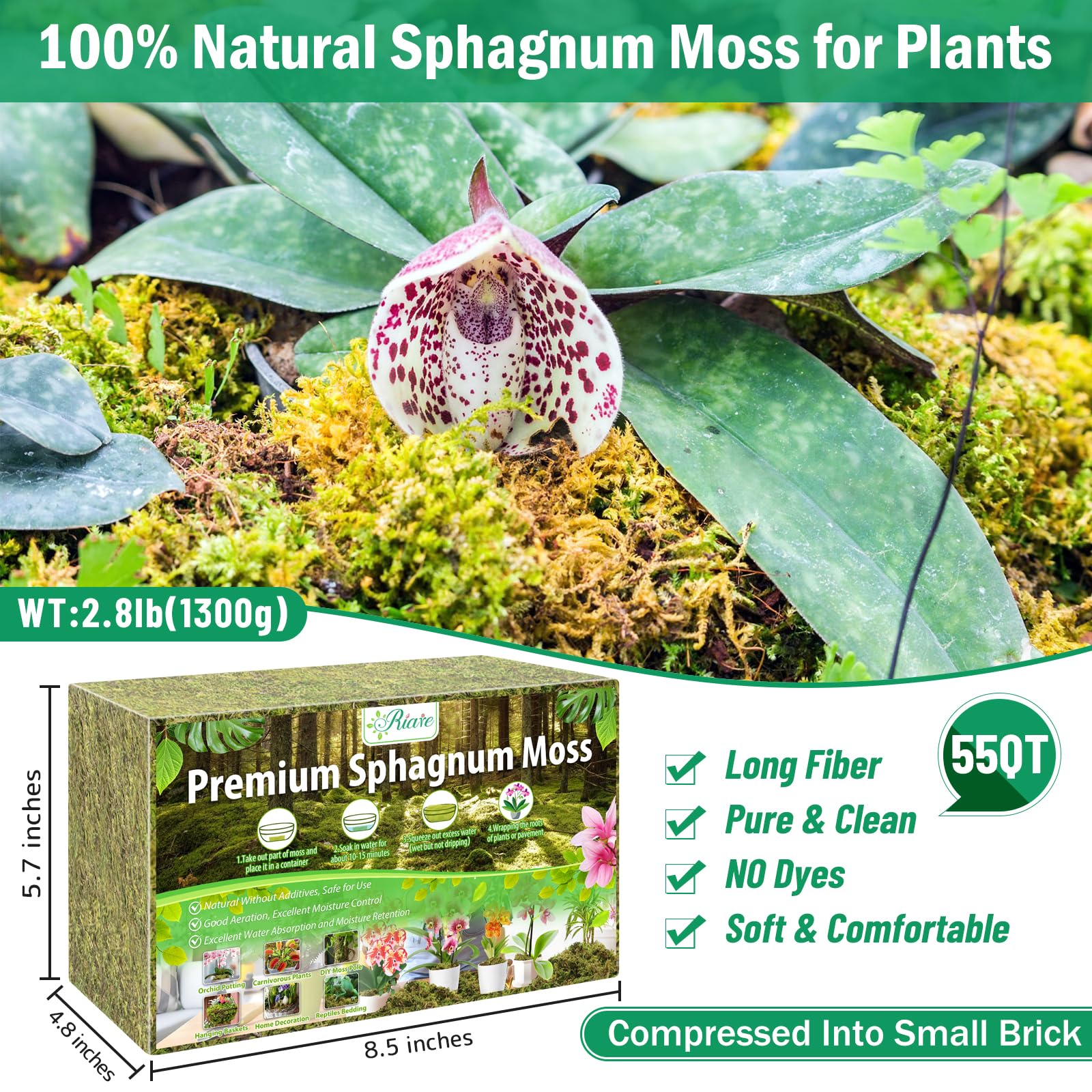 Riare expanded moss after soak, supporting airy roots and drainage.