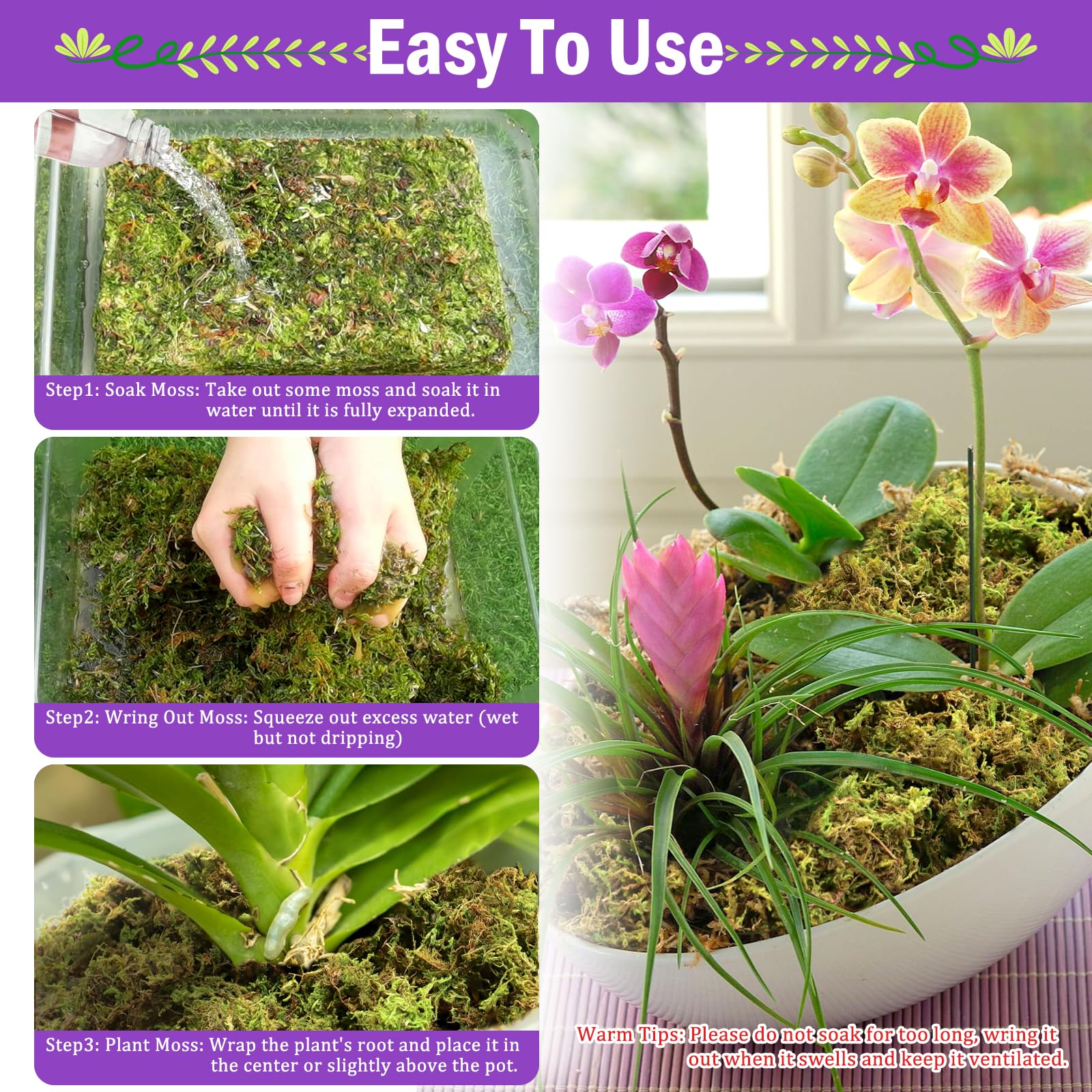 Riare carnivorous plant moss creates breathable, damp rooting medium