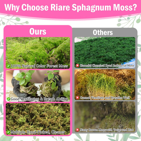 Riare sphagnum moss supports moisture retention for succulents and carnivorous plants
