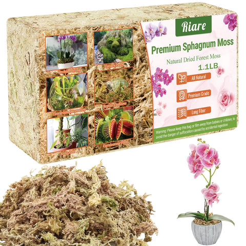 Riare sphagnum moss for orchids enhances moisture retention and healthy roots.
