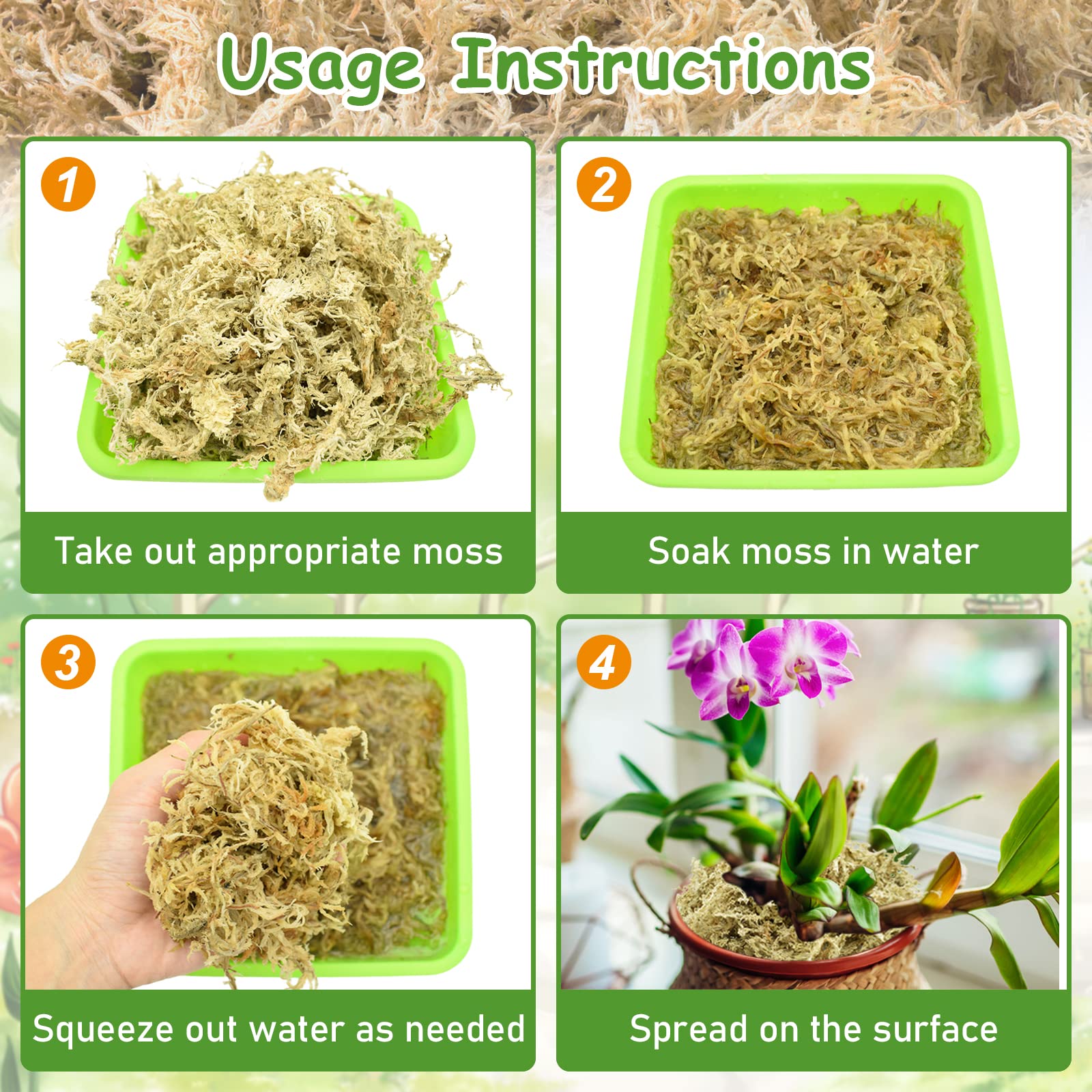 Riare terrarium moss in-use for decorative and functional plant habitats.