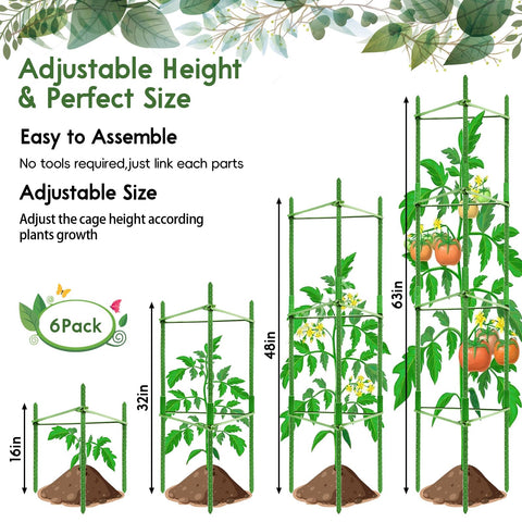 Riare 6-pack packaging with multiple stakes and ties for complete support
