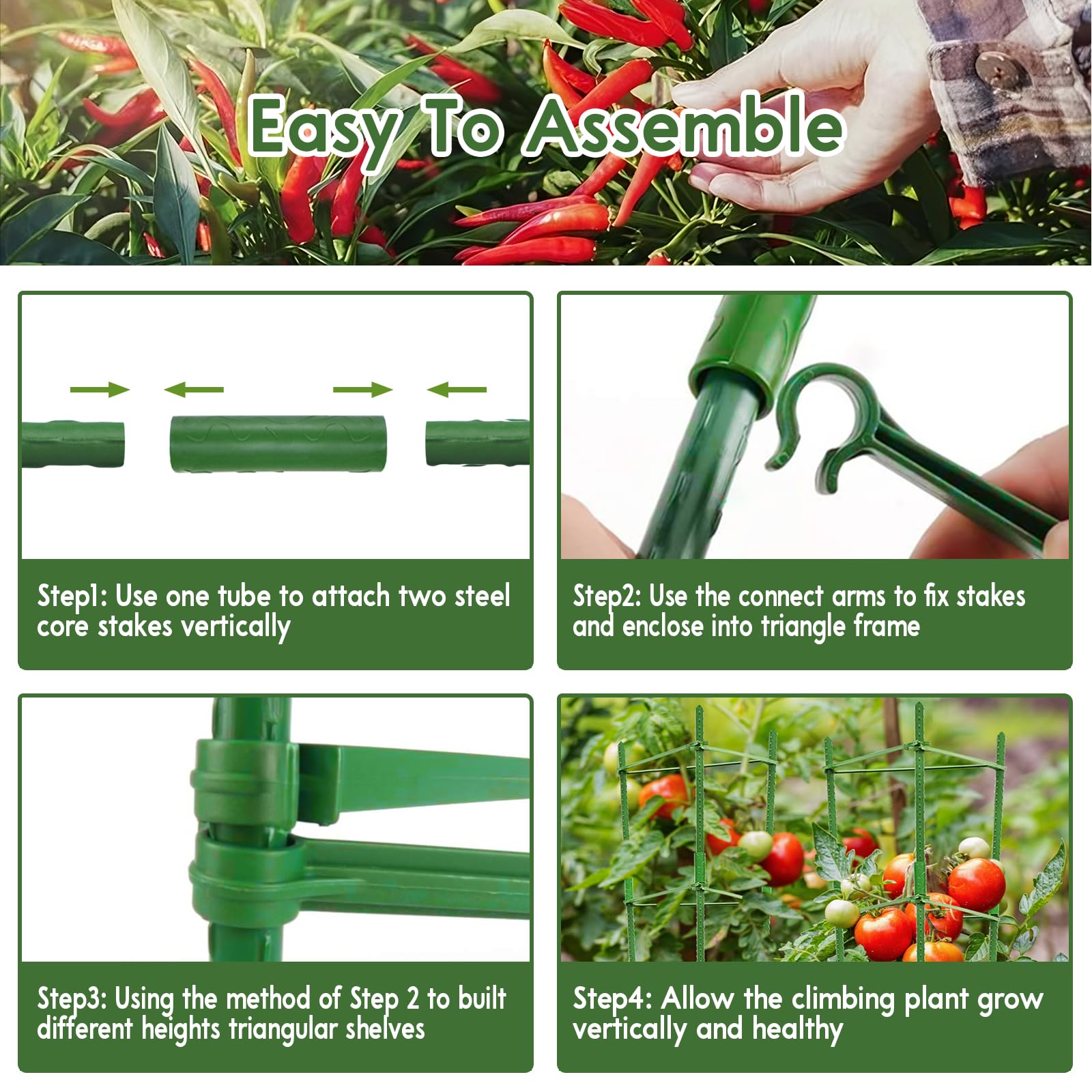 Riare anti-rust coated cages resist weather for long-term garden use