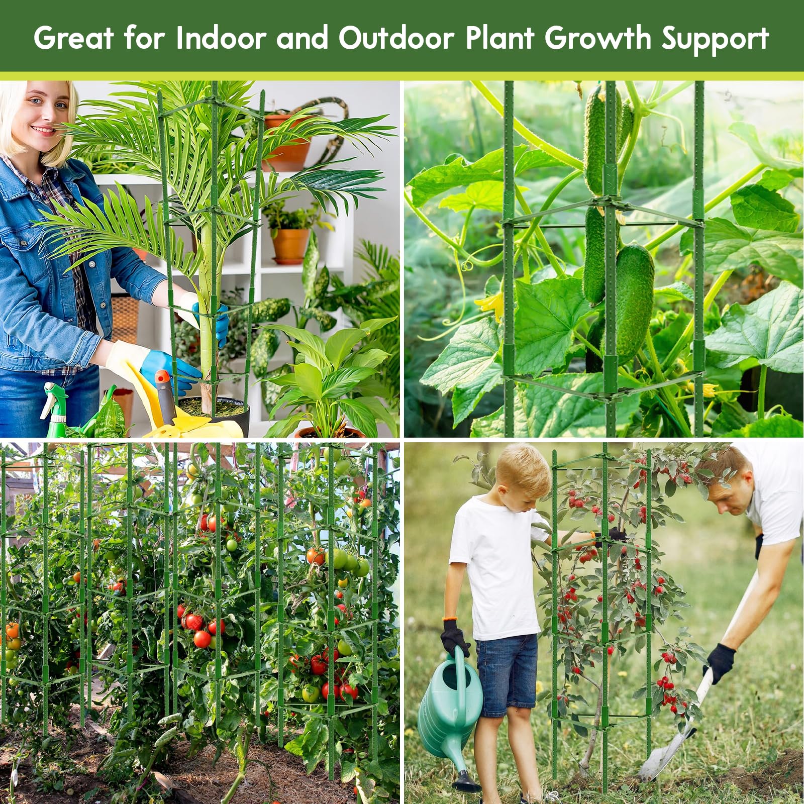 Riare tomato cages for indoor or outdoor gardens and raised beds