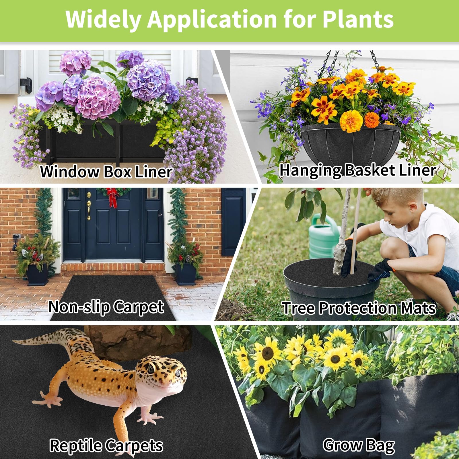 Riare two-roll set supports flexible sizing across containers.