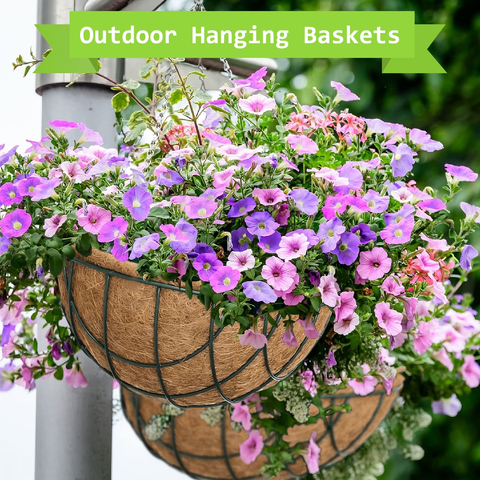 Riare wide applications perfect for home gardens, weddings, cafes, and storefronts.