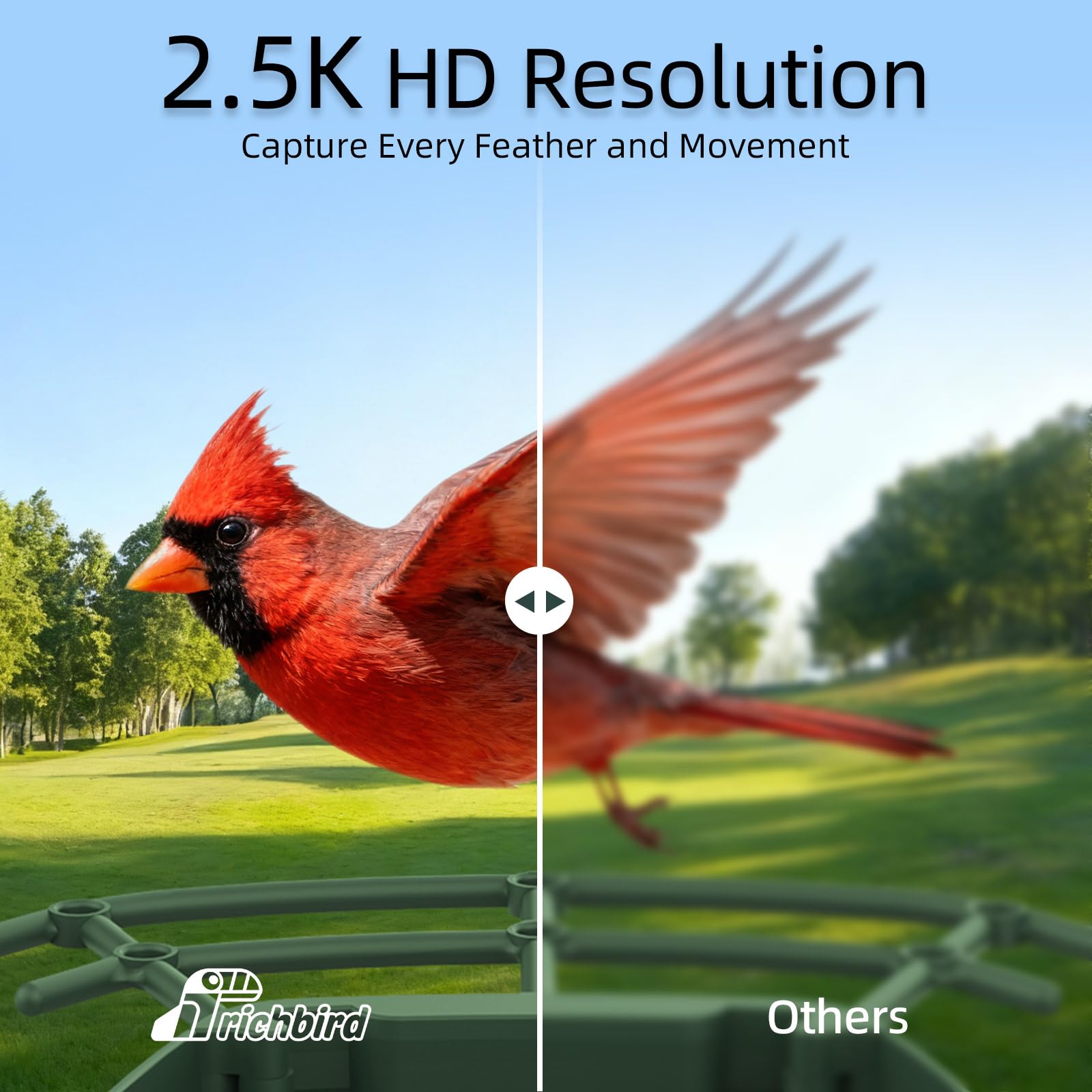 RichBird 2.5K HD live video feed to your phone for viewing birds.