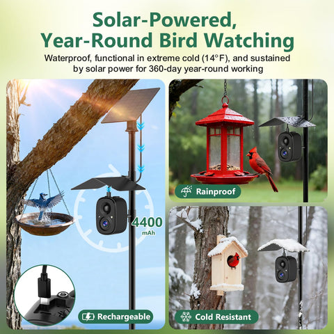 RichBird 2-way audio lets you listen and talk to birds