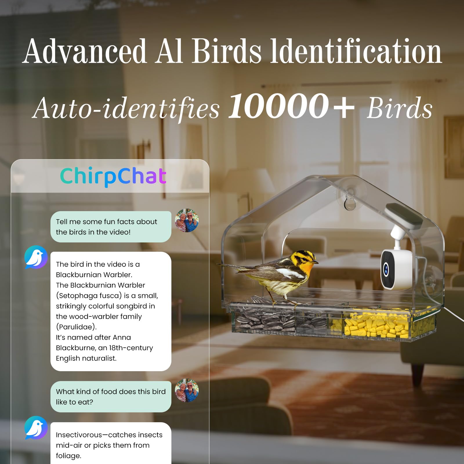 RichBird 24/7 live view powered by USB for continuous observation.