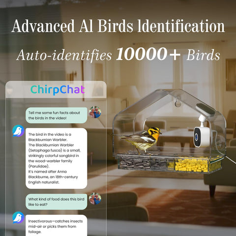 RichBird 24/7 live view powered by USB for continuous observation.