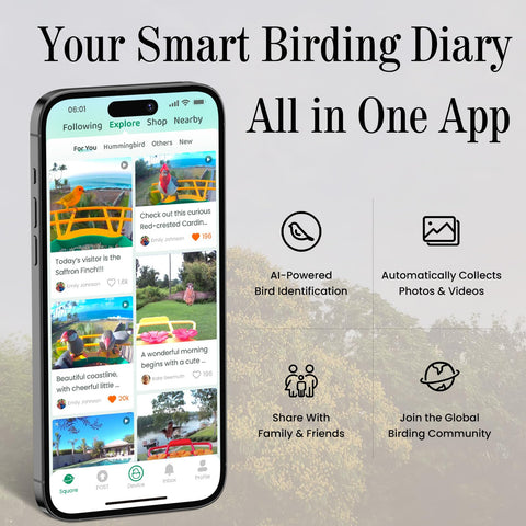 RichBird AI bird ID detects ten thousand species for quick learning.