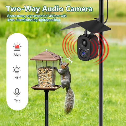 RichBird auto-recording with cloud or SD storage captures moments