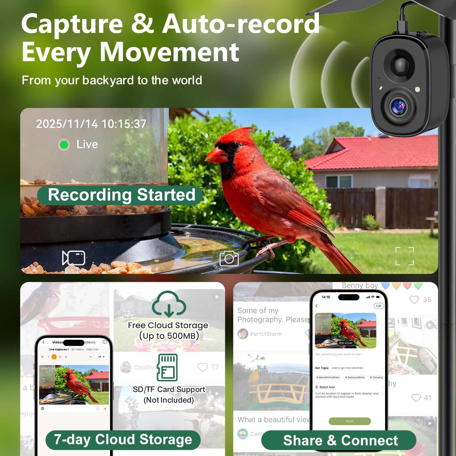 RichBird color night vision reveals birds with vibrant detail after dark