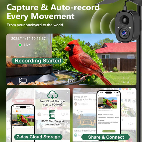 RichBird color night vision reveals birds with vibrant detail after dark