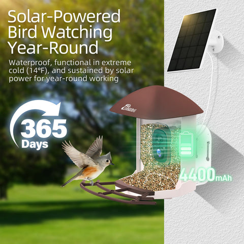 RichBird easy four-step setup makes installation quick.