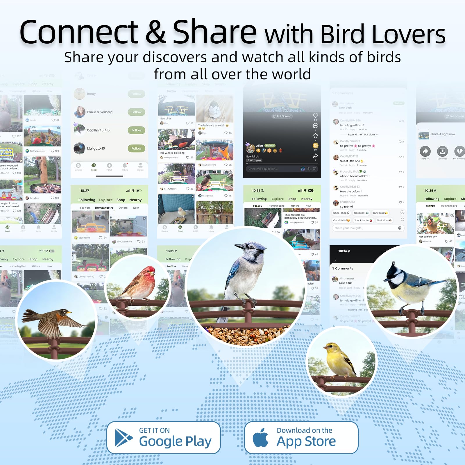 RichBird free AI identification helps you learn about thousands of species.