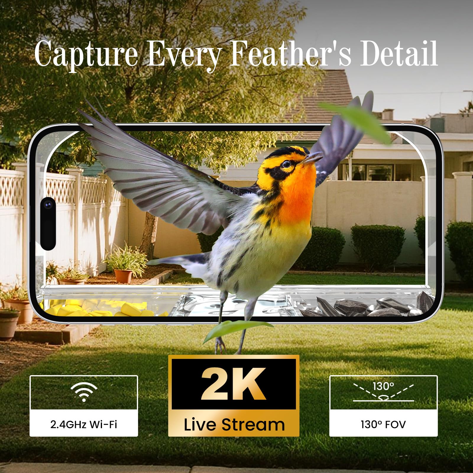RichBird motion detection highlights visits for a wildlife reel.