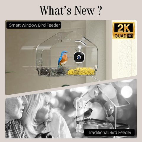 RichBird secure suction mounts keep the feeder steady on any glass surface.
