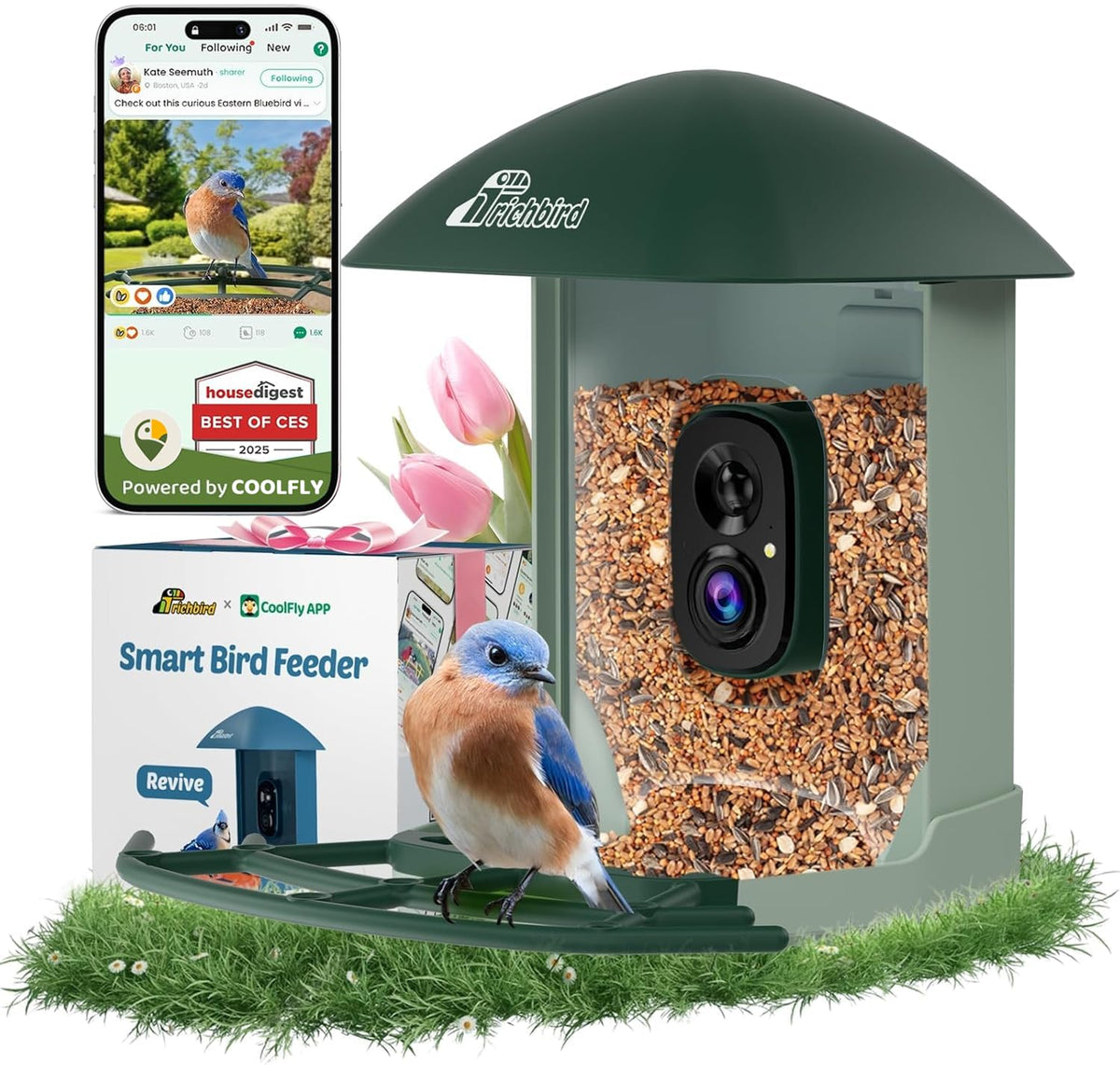 RichBird smart bird feeder camera-4MP streams live backyard birds to your phone