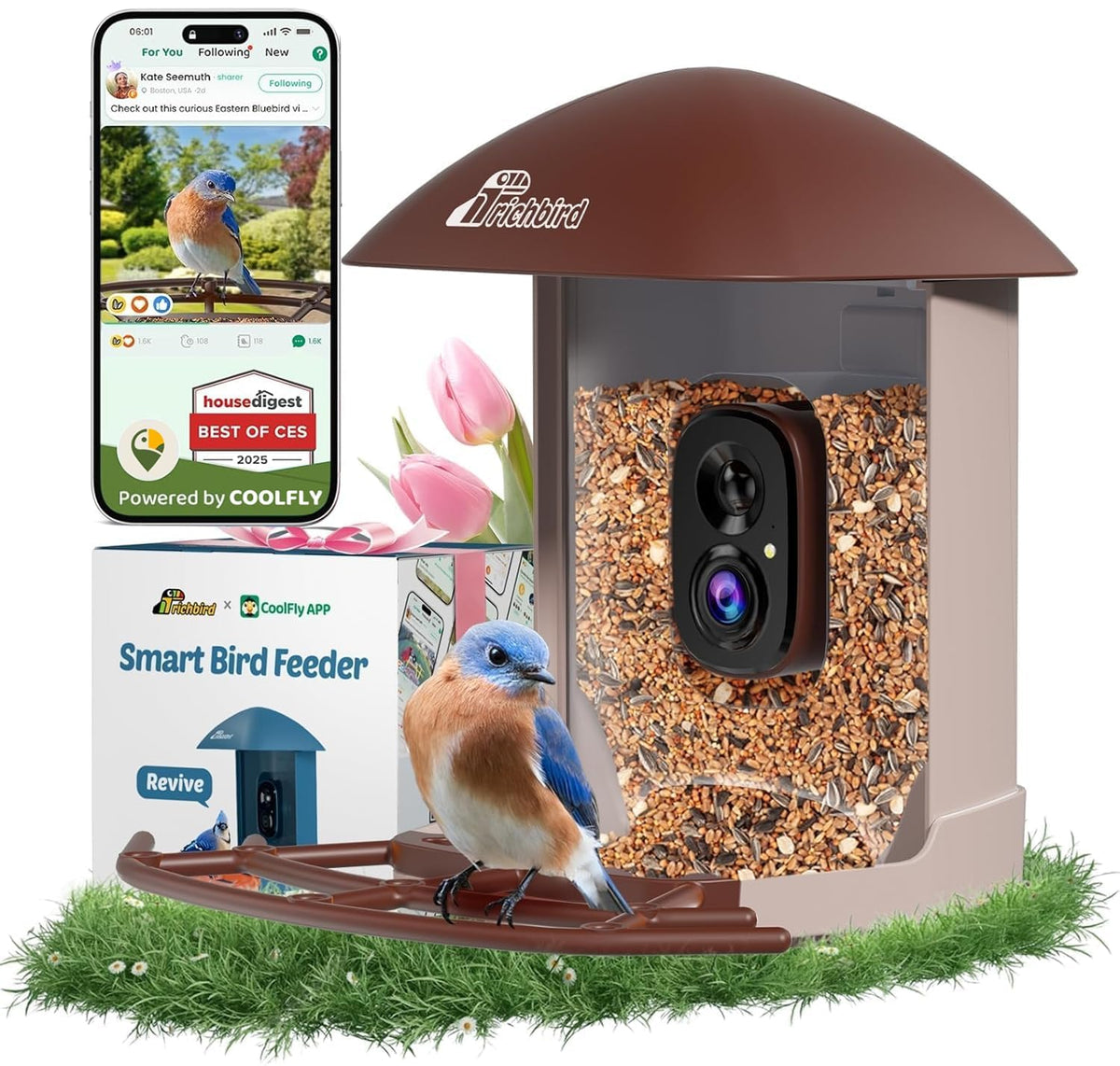 RichBird smart bird feeder camera in brown for real-time yard birdwatching.
