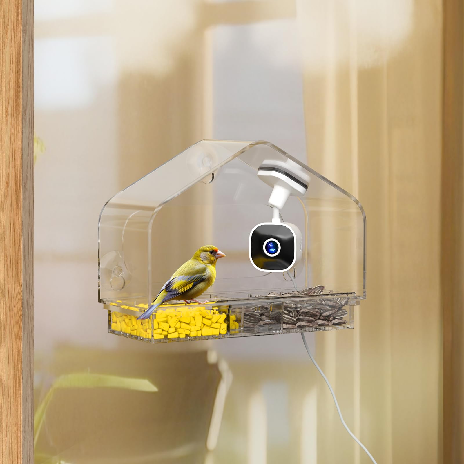 RichBird smart window feeder camera offers panoramic 2K view for close birdwatching.