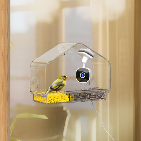 RichBird smart window feeder camera offers panoramic 2K view for close birdwatching.