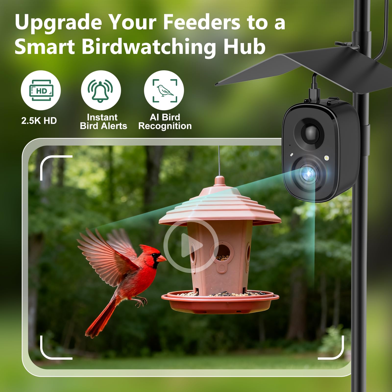RichBird solar panel kit powering outdoor camera for reliable energy