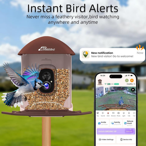 RichBird solar-powered feeder with a long-lasting battery for outdoors.