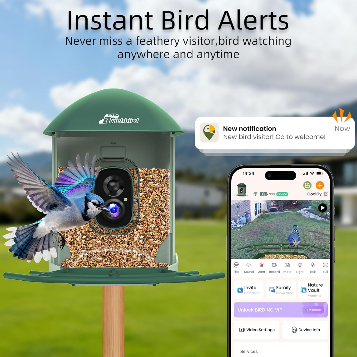 RichBird solar-powered bird feeder-outdoor operates reliably with solar charging