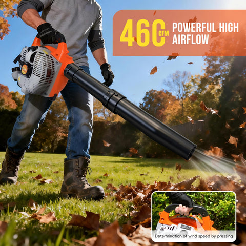 RIDALIYA 460 CFM air output for quick leaves removal