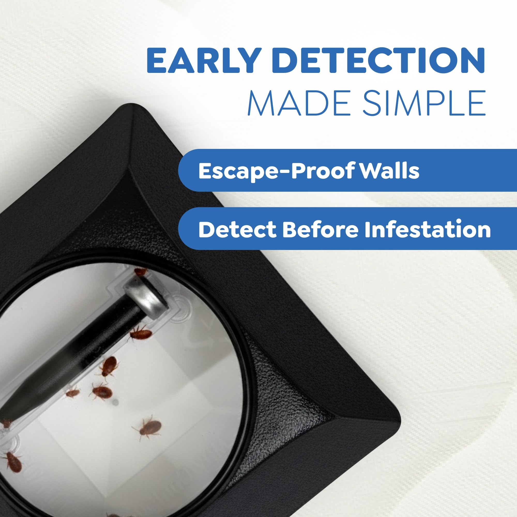 Riddy bed bug detection kit trap in room shows quick setup.