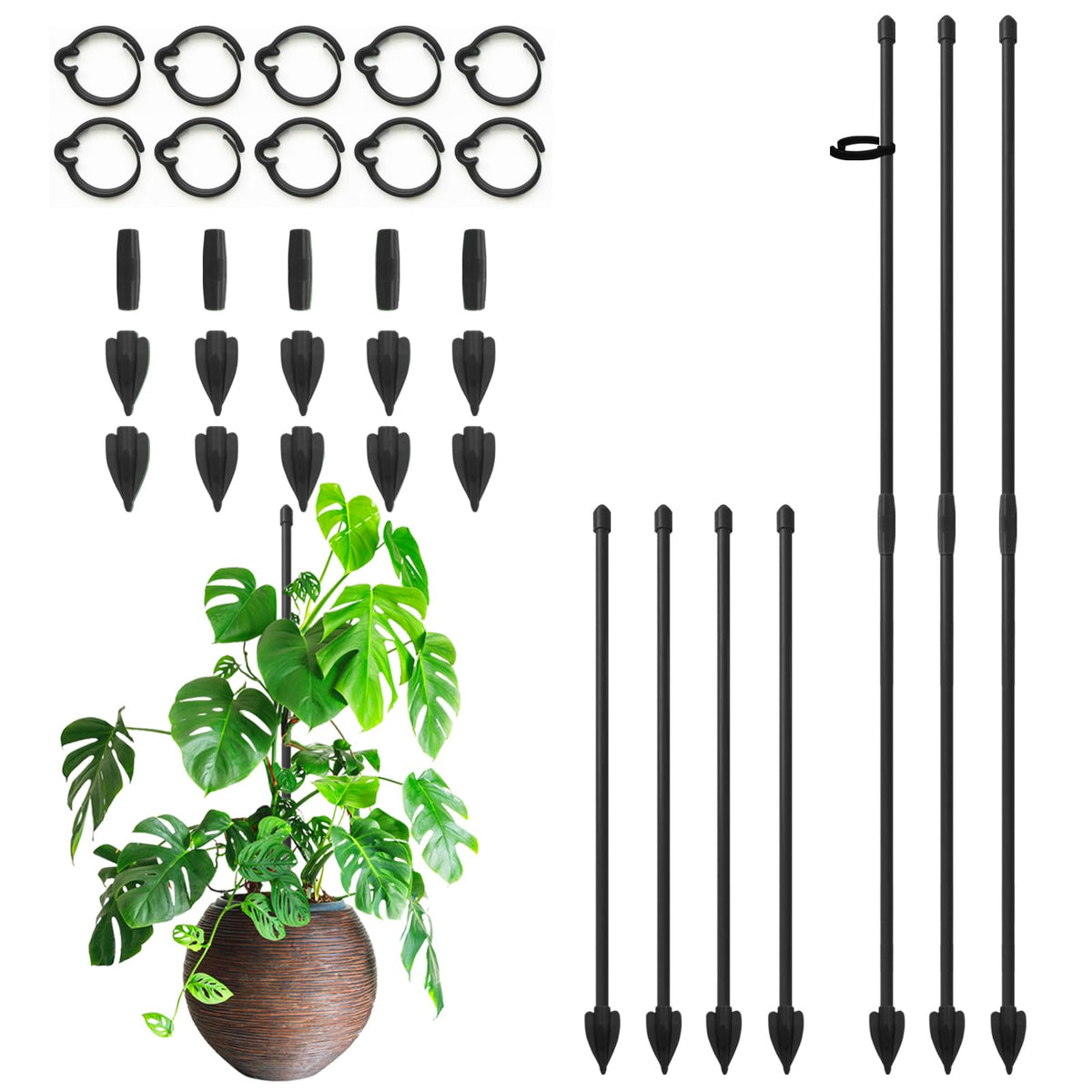 RIFNY 14-inch plant stake with clips provides sturdy indoor support for growing monstera stems.