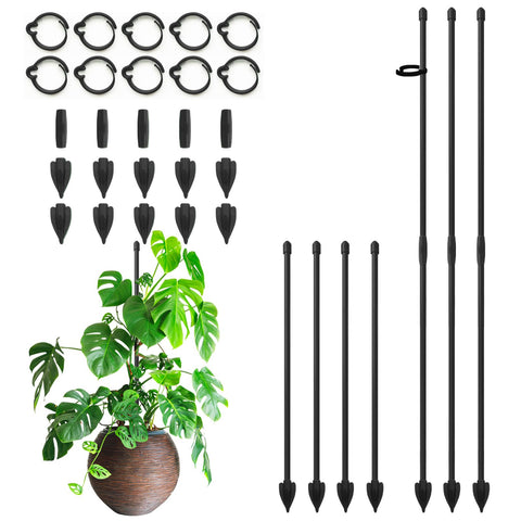 RIFNY 14-inch plant stake with clips provides sturdy indoor support for growing monstera stems.