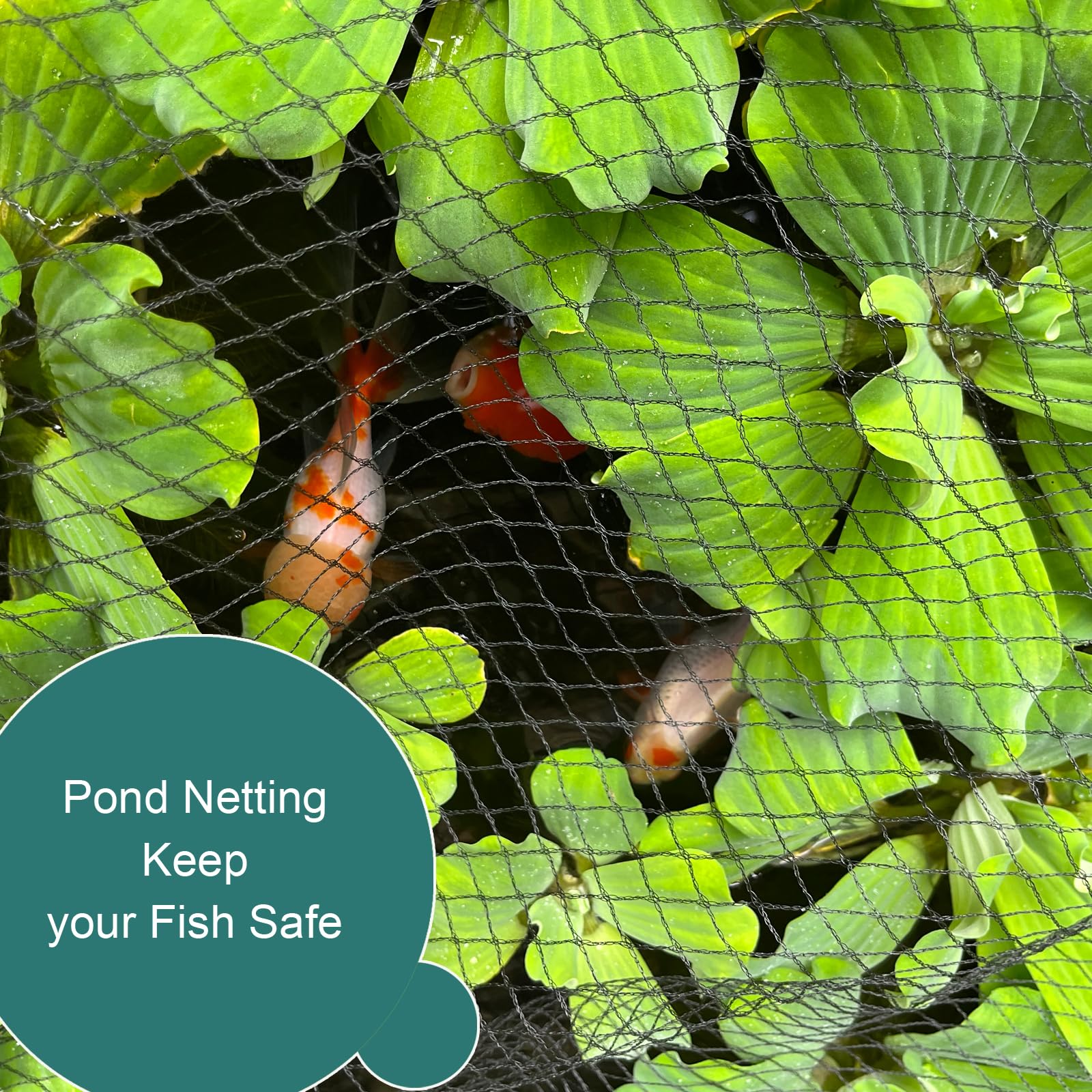 RIFNY bird netting protect-fruit-trees depicts netting wrapped around fruit trees for cover.
