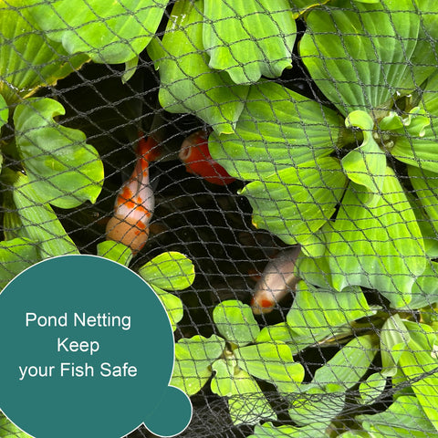 RIFNY bird netting protect-fruit-trees depicts netting wrapped around fruit trees for cover.