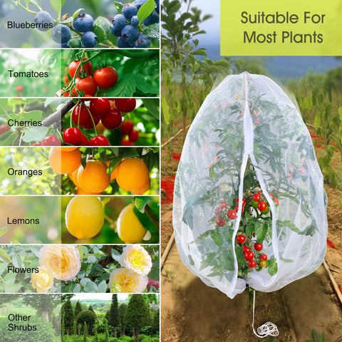 RIFNY garden netting with fine mesh enables quick installation and plant protection.