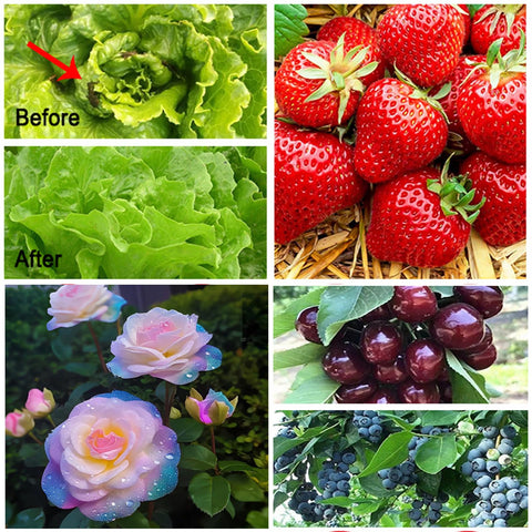 RIFNY Garden Netting provides wide coverage for rows and beds while protecting crops.