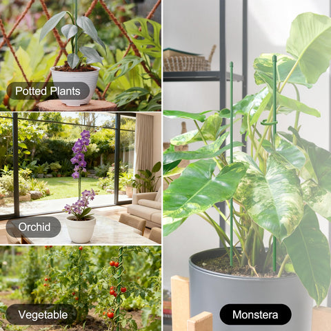 RIFNY green plant stake kit for versatile indoor and outdoor use.