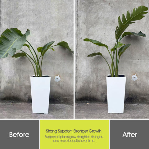 RIFNY plant support suitable for indoor and outdoor use