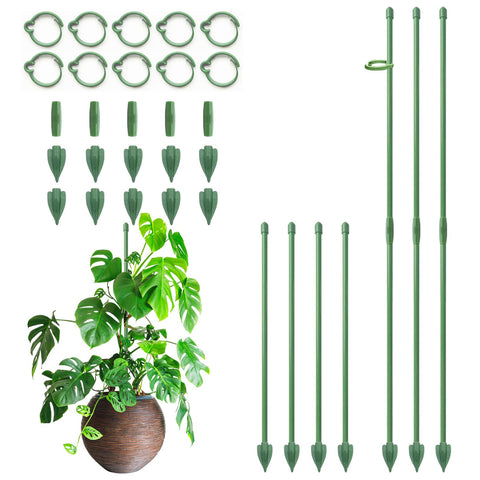 RIFNY 14-inch adjustable plant stakes set up for growing support
