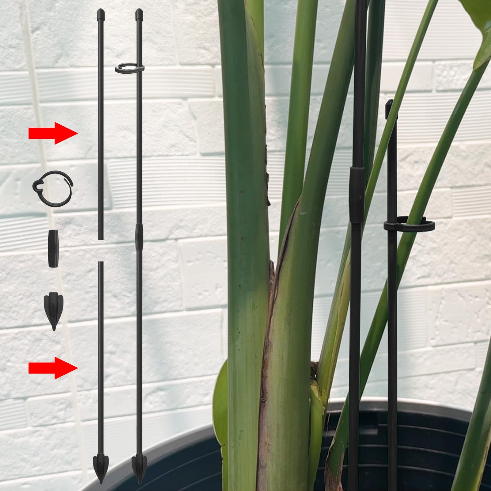RIFNY movable clips secure stems gently as plants grow