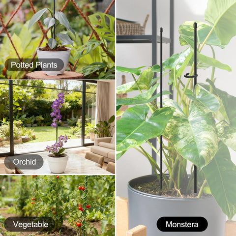 RIFNY reusable plant stakes designed for multiple seasons