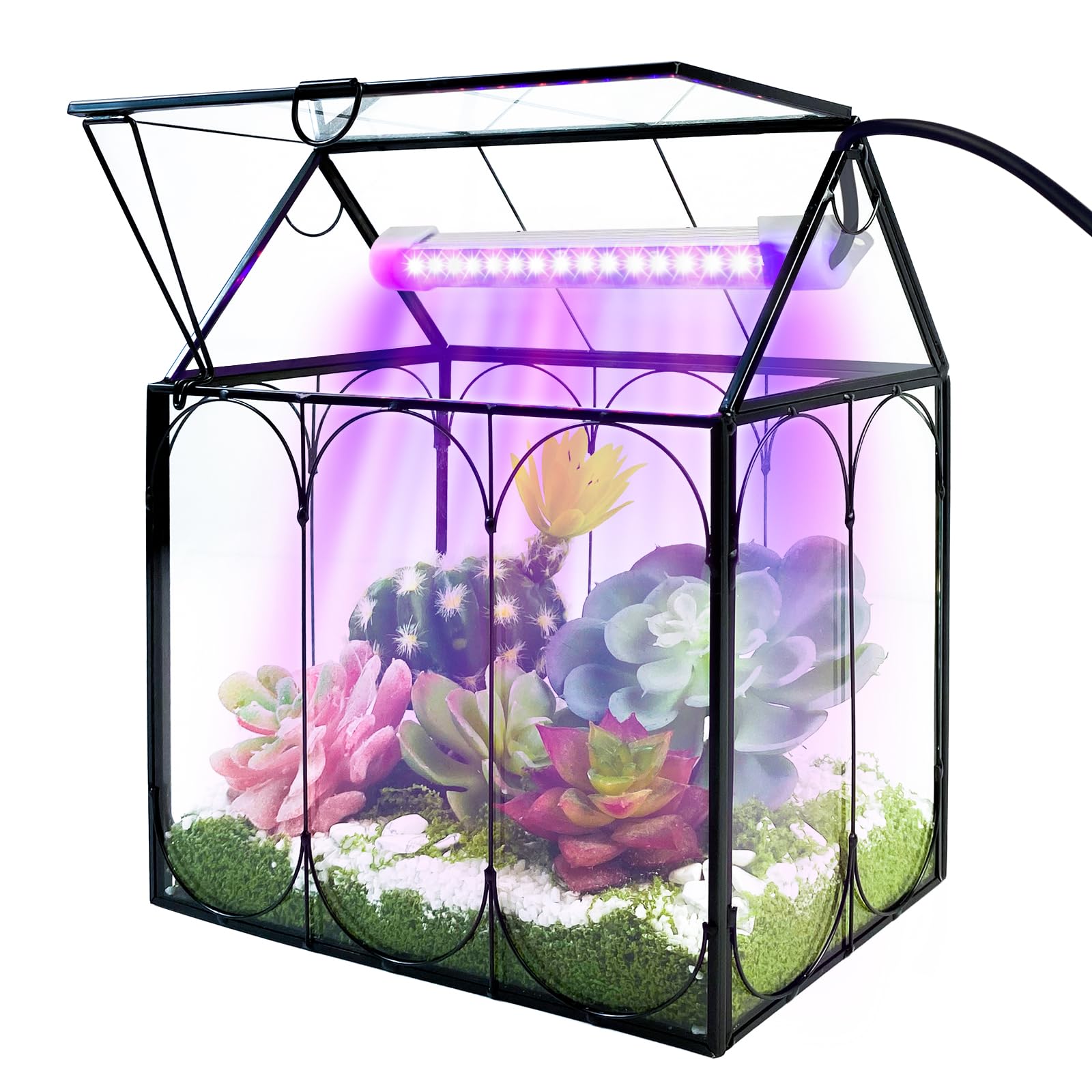 RIFNY plant terrarium kit grow light enhances indoor plant growth
