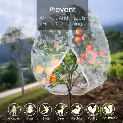 RIFNY raised-bed netting keeps crops safe while allowing water and light.