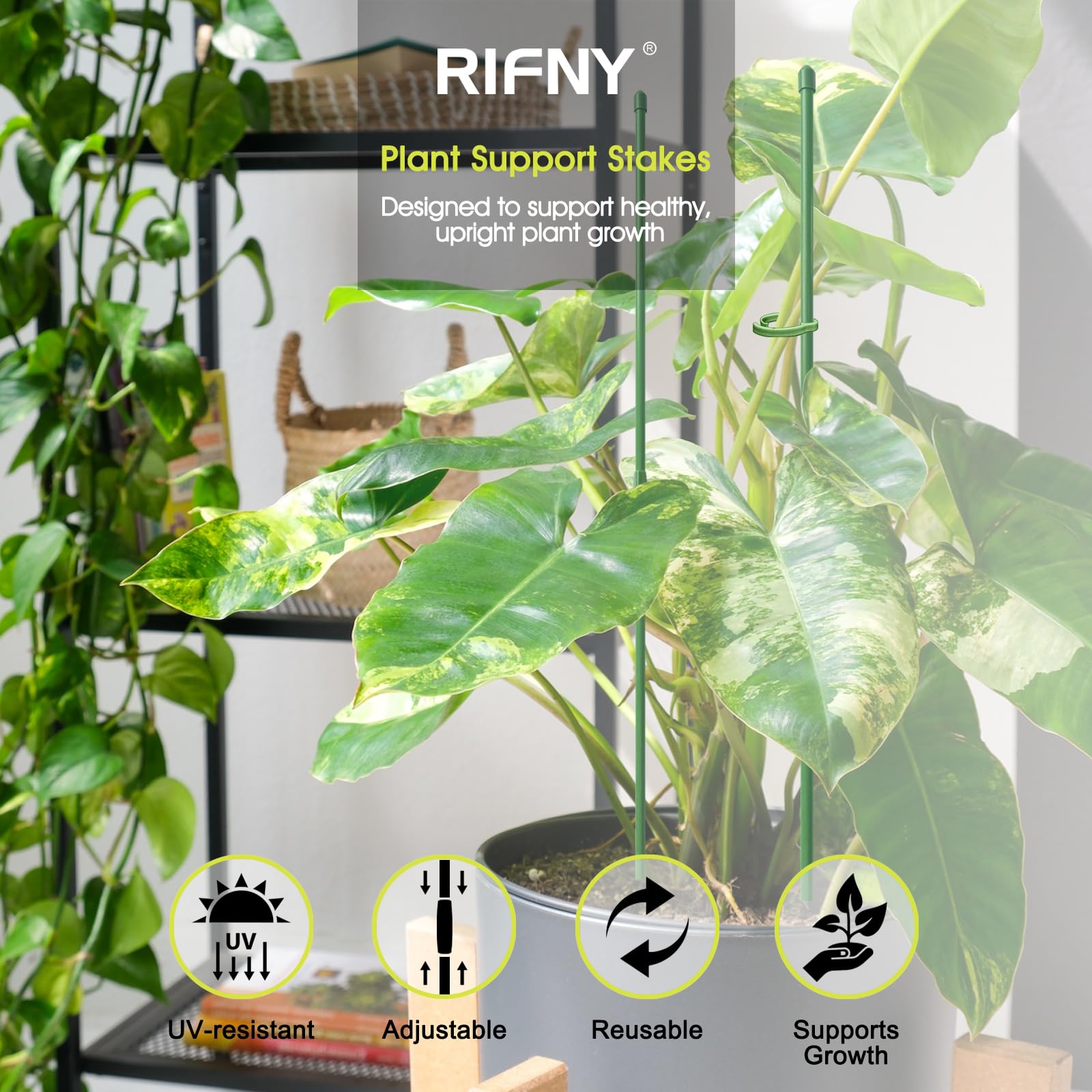 RIFNY stake with clips offers durable fiberglass support for outdoor plants.