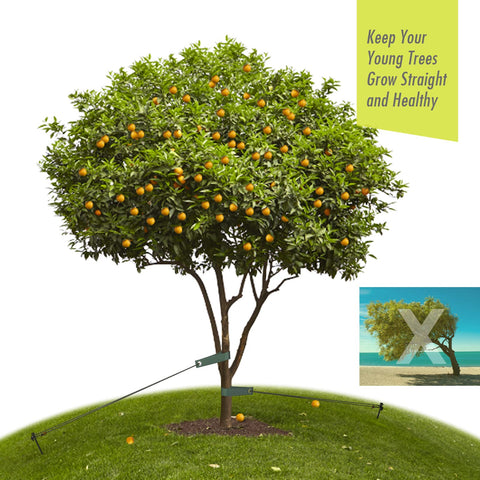 Close-up of durable steel tree stakes highlighting construction quality.