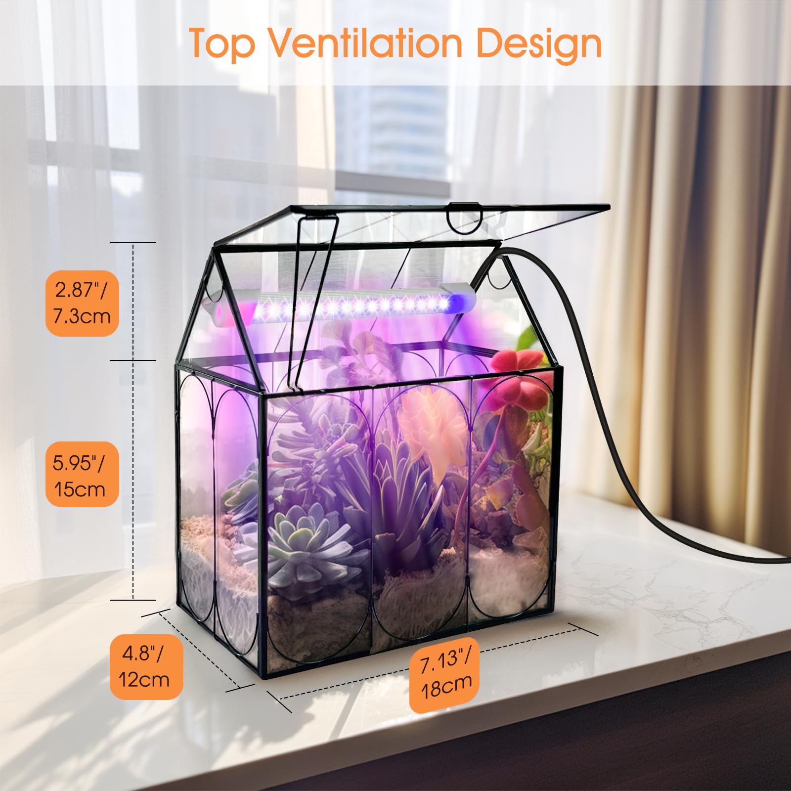 RIFNY terrarium glow showcases 5W LED red and blue spectrum